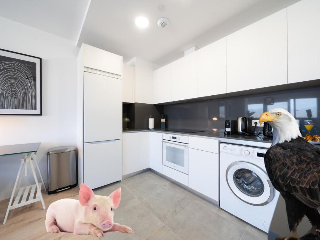 Xpce Urban 4 Skyline - Free Parking Apartment Malaga